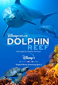 دانلود دوبله فارسی فیلم Dolphin Reef سال 2020 - صخره دلفین