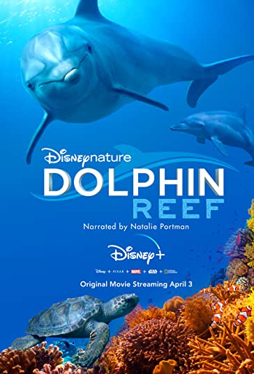 Dolphin Reef 2020