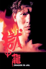 دانلود فیلم Dragon in Jail سال 1990 - اژدها در زندان