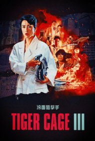 دانلود فیلم Tiger Cage III سال 1991 - قفس ببر ۳