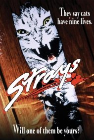 دانلود فیلم Strays سال 1991 - ولگردها