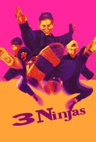 3 Ninjas 1992