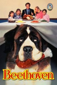 Beethoven 1992