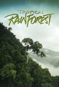دانلود فیلم Tropical Rainforest سال 1992 - جنگل بارانی استوایی