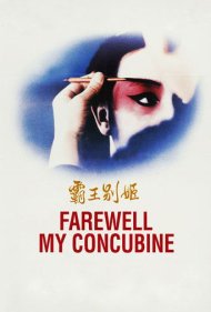 Farewell My Concubine 1993