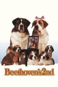 دانلود فیلم Beethoven's 2nd سال 1993 - بتهوون ۲