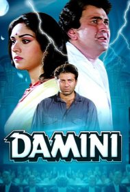 Damini 1993