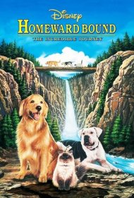 دانلود فیلم Homeward Bound: The Incredible Journey سال 1993 - به سوی خانه: سفر باورنکردنی