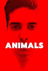 دانلود فیلم Animals سال 2021 - حیوانات