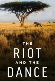 دانلود فیلم The Riot and the Dance سال 2020