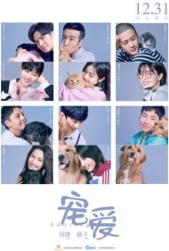 دانلود فیلم Adoring سال 2019 - عشقورزی
