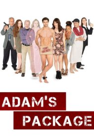 دانلود فیلم Adam's Package سال 2019 - بسته آدم