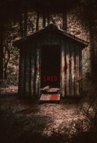 Shed 2019