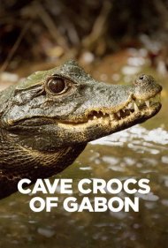 دانلود فیلم Cave Crocs of Gabon سال 2018 - تمساحهای غارنشین گابن