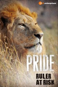 دانلود فیلم Pride Ruler at Risk سال 2016 - قلمرو در خطر شیرها