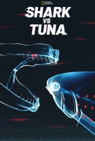 دانلود فیلم Shark vs. Tuna سال 2018 - کوسه در برابر ماهی تن