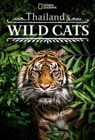 دانلود فیلم Thailand's Wild Cats سال 2021 - گربهسانان وحشی تایلند