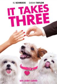 دانلود فیلم It Takes Three سال 2019