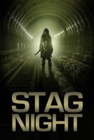 دانلود فیلم Stag Night سال 2008 - شب مجردی