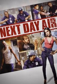 دانلود فیلم Next Day Air سال 2009 - ارسال روز بعد