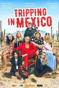 دانلود فیلم Tripping in Mexico سال 2019 - سفر تفریحی در مکزیک