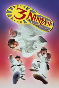 3 Ninjas Knuckle Up 1995