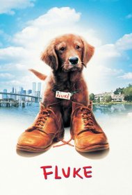 دانلود فیلم Fluke سال 1995 - فلوک