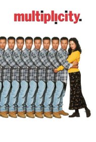 Multiplicity 1996