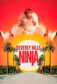 دانلود فیلم Beverly Hills Ninja سال 1997 - نینجای بورلی هیلز