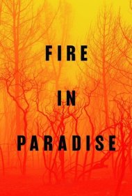 دانلود فیلم Fire in Paradise سال 2019 - آتش در بهشت