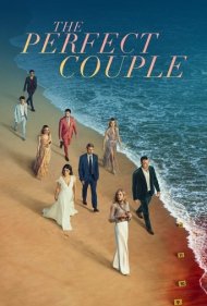 دانلود فیلم The Perfect Couple سال 2024 - زوج بی‌نقص