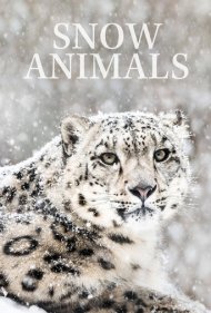 Snow Animals 2019