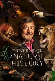 دانلود فیلم Fantastic Beasts: A Natural History سال 2022 - جانوران شگفتانگیز: یک تاریخ طبیعی