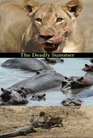 دانلود فیلم Deadly Summer سال 2006 - تابستان مرگبار