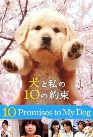 10 Promises to My Dog 2008