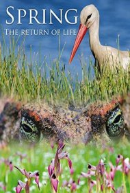 Spring: The Return of Life 2014