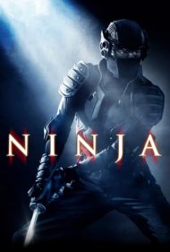 دانلود دوبله فارسی فیلم Ninja سال 2009