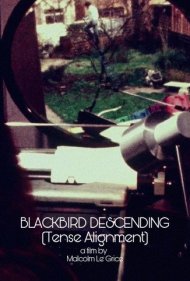 دانلود فیلم Blackbird Descending - Tense Alignment سال 1977 - فرود مرغ سیاه - تراز تنش