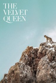 دانلود فیلم The Velvet Queen سال 2021 - ملکه مخمل