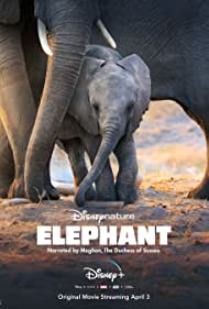دانلود دوبله فارسی فیلم Elephant سال 2020 - فیل