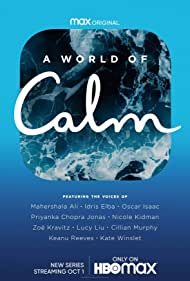 دانلود دوبله فارسی فیلم A World of Calm سال 2020 - یک دنیا آرامش