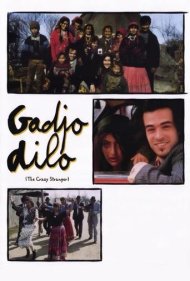 دانلود فیلم The Crazy Stranger سال 1998 - غریبه دیوانه