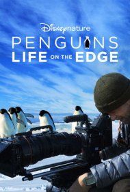دانلود فیلم Penguins: Life on the Edge سال 2020 - پنگوئنها: زندگی در لبه پرتگاه
