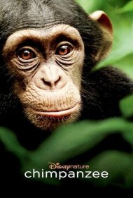 دانلود دوبله فارسی فیلم Chimpanzee سال 2012