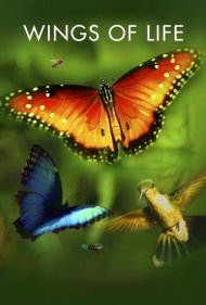 دانلود فیلم Wings of Life سال 2011 - بال‌های زندگی