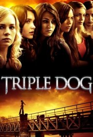 دانلود فیلم Triple Dog سال 2010 - سه سگ