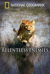 دانلود فیلم Relentless Enemies: Lions and Buffalo سال 2006 - دشمنان بی‌رحم: شیرها و بوفالوها