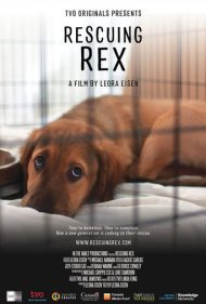 دانلود فیلم Rescuing Rex سال 2020 - نجات رکس