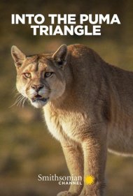 دانلود فیلم Into the Puma Triangle سال 2020 - در مثلث پوما