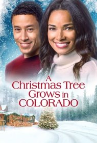 دانلود فیلم A Christmas Tree Grows in Colorado سال 2020 - درختی در کلرادو سبز میشود